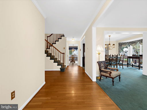 Media Image 2