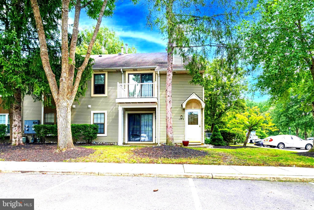 Media Image 1