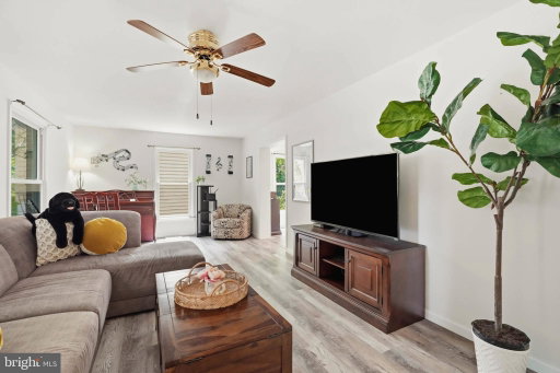 Media Image 3
