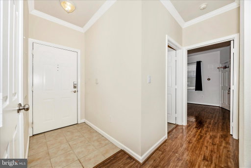 Media Image 3