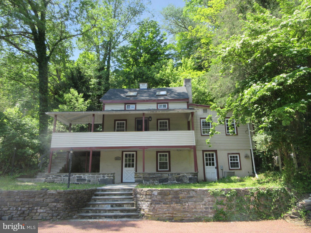 Media Image 1