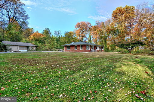 Media Image 3