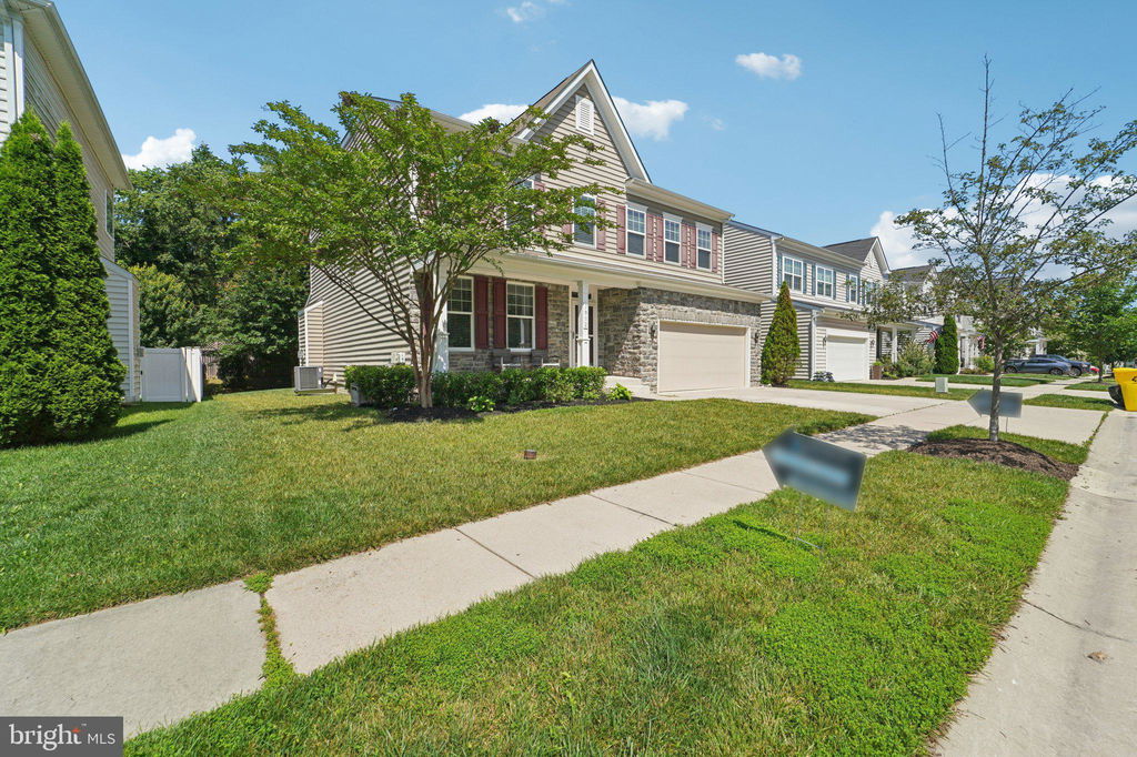 Media Image 1