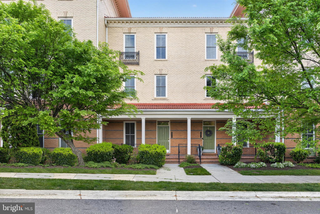 Media Image 1