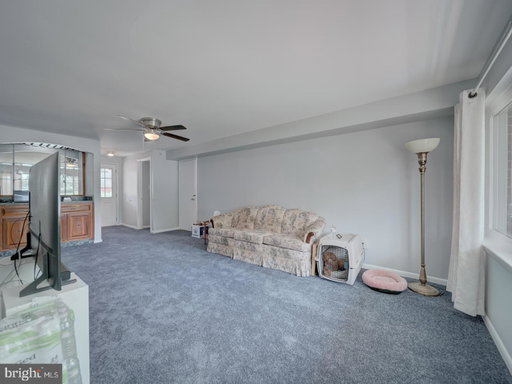 Media Image 3