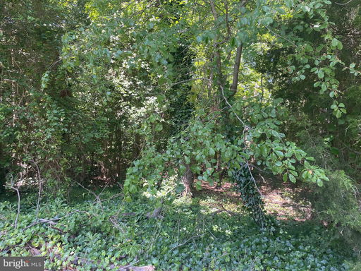 Media Image 3