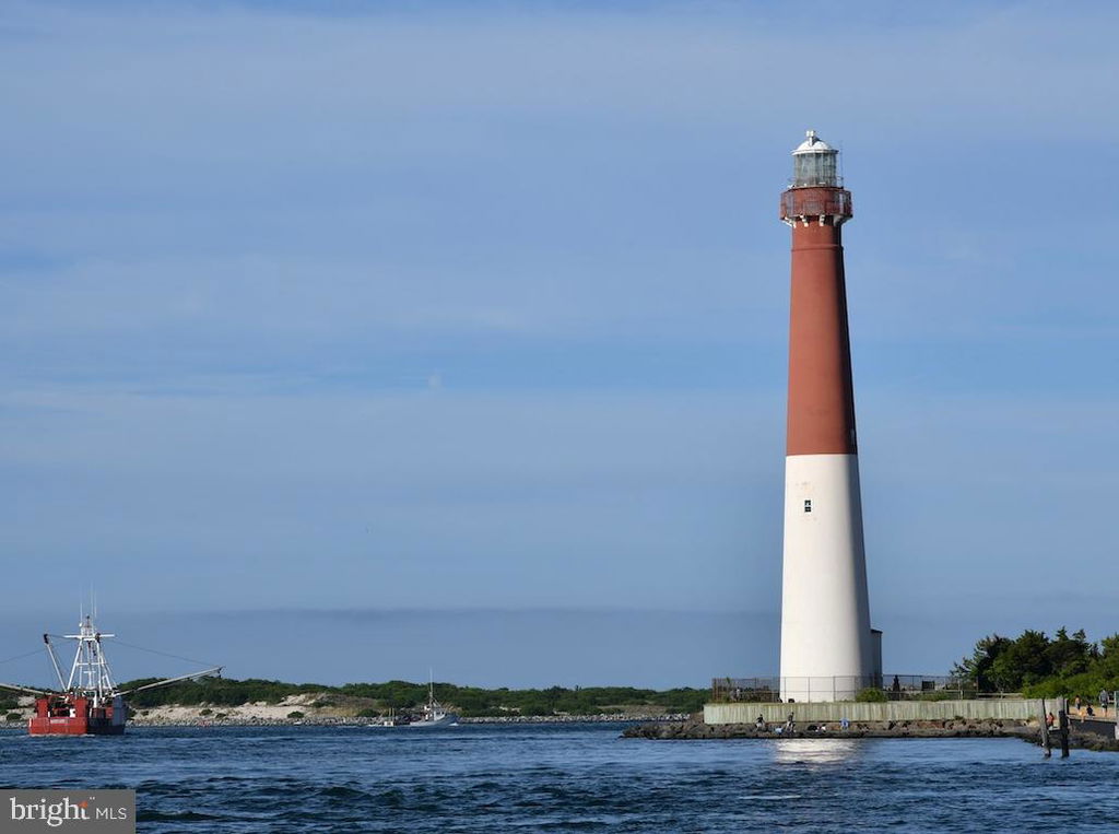 Media Image 1