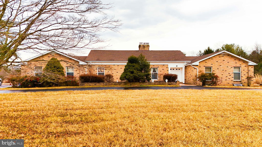 Media Image 1