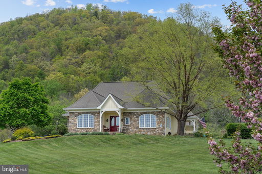 Media Image 2