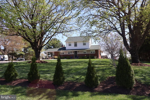 Media Image 2