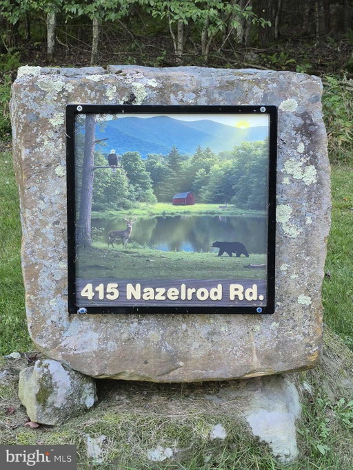 Media Image 2