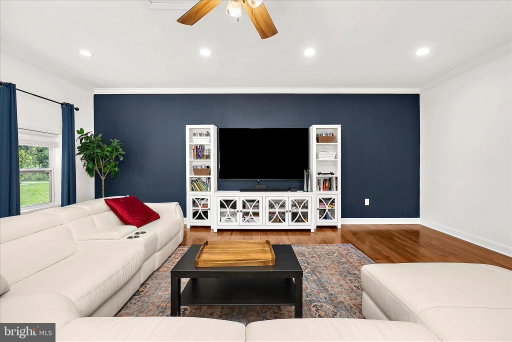 Media Image 3