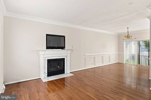 Media Image 3