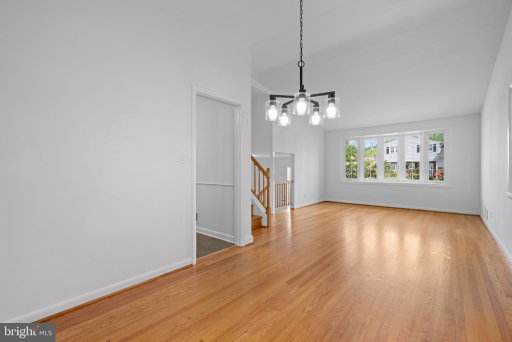 Media Image 3