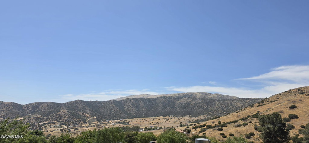 Media Image 1