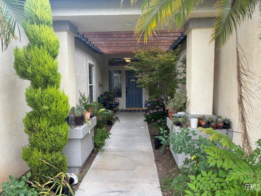 Media Image 2