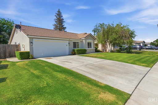 Media Image 3