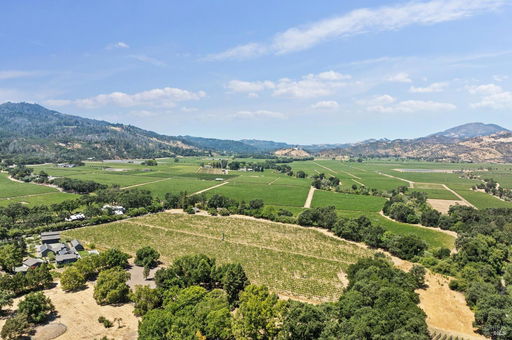 Media Image 3