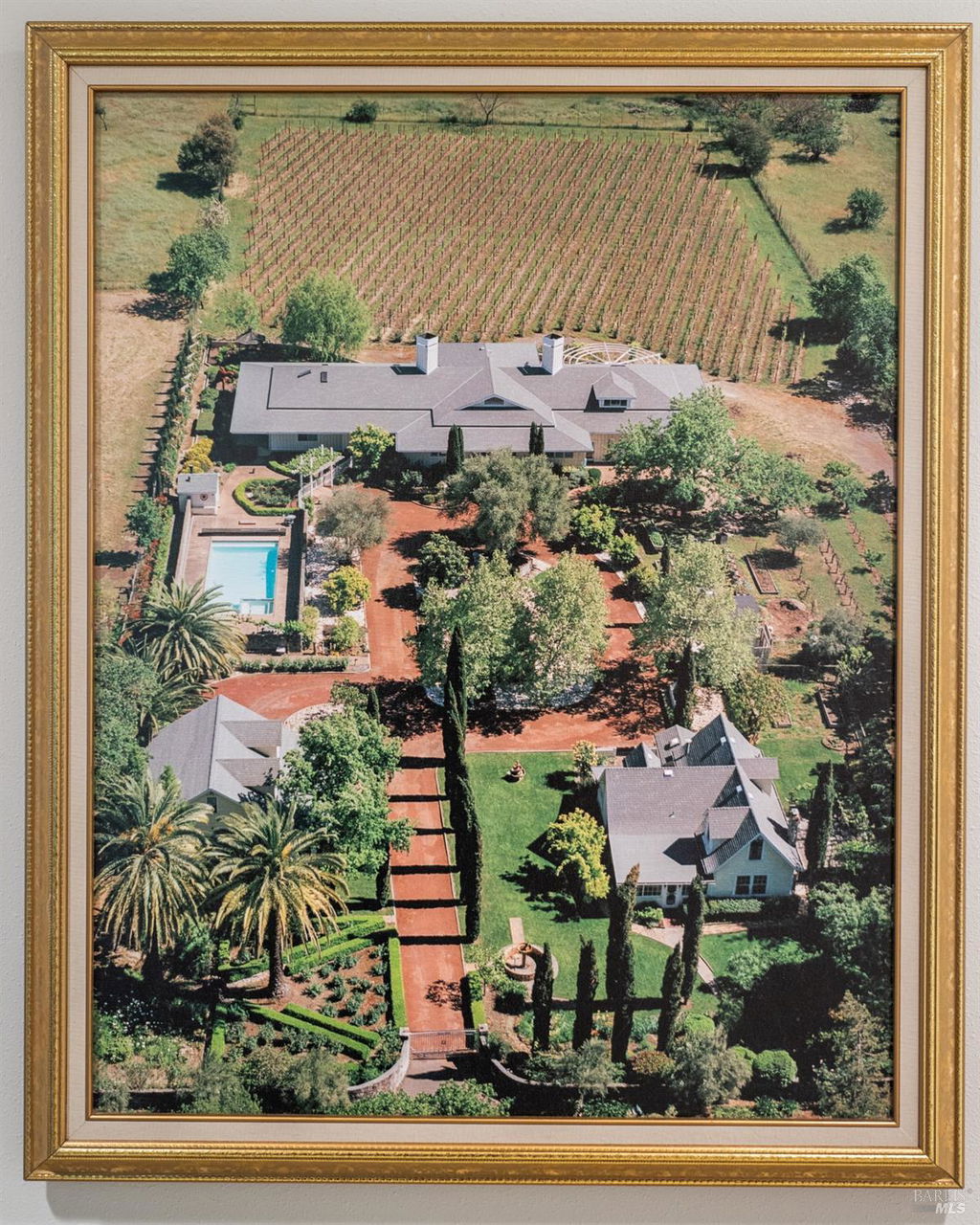 Media Image 1