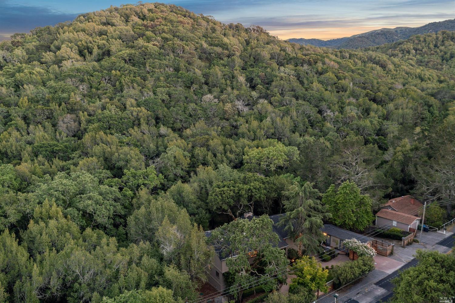 1603 Indian Valley Rd, Novato, CA 94947 Home for Sale