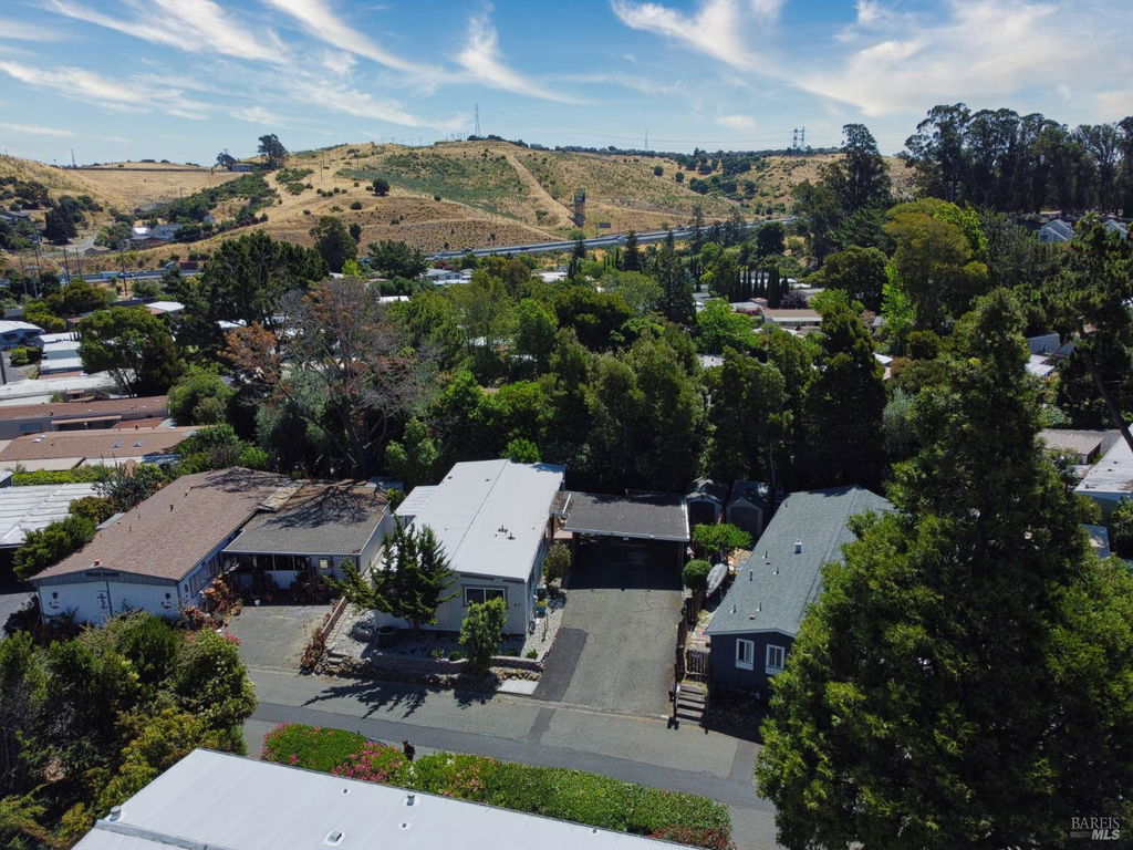 Media Image 1
