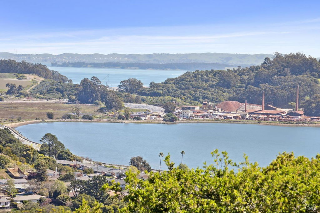 Media Image 1