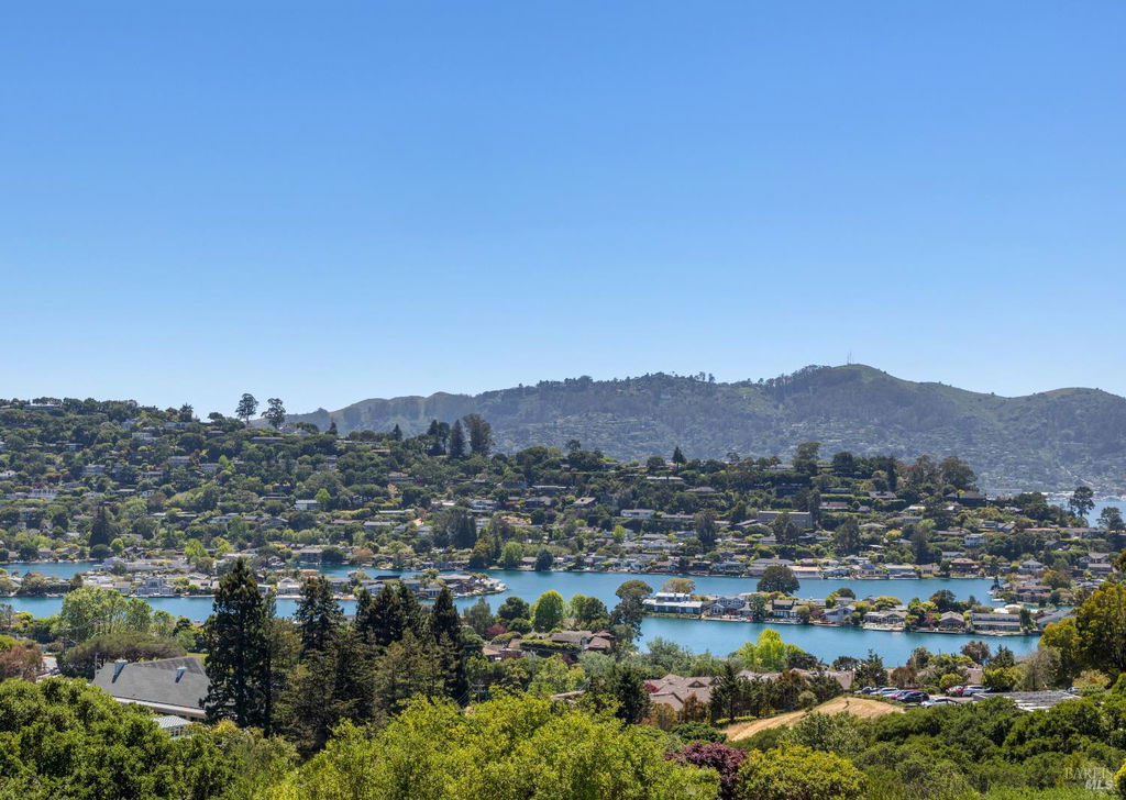 Media Image 1