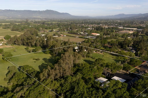 Media Image 2