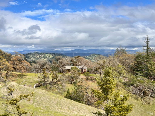 Media Image 2