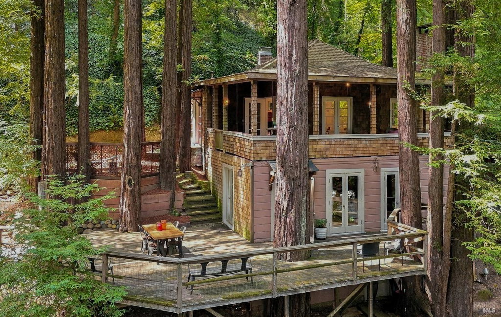 Media Image 1