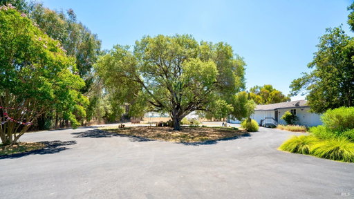 Media Image 3