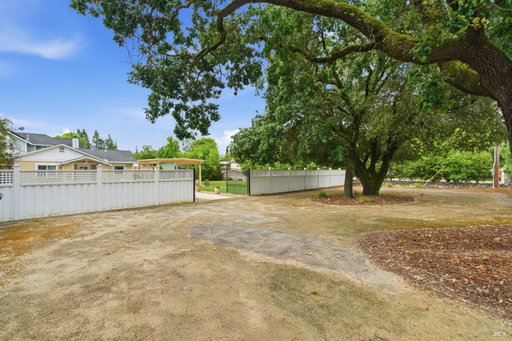 Media Image 3