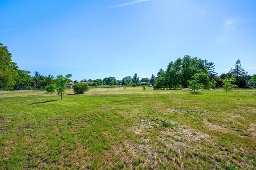 Media Image 3