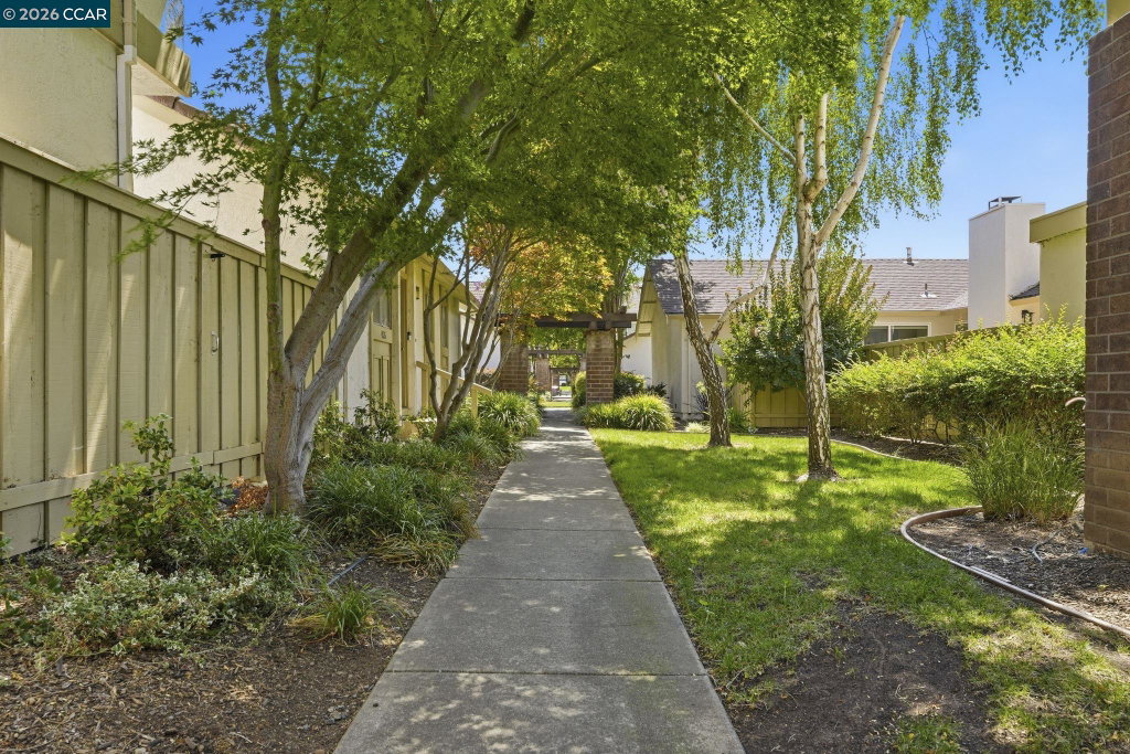 Media Image 1