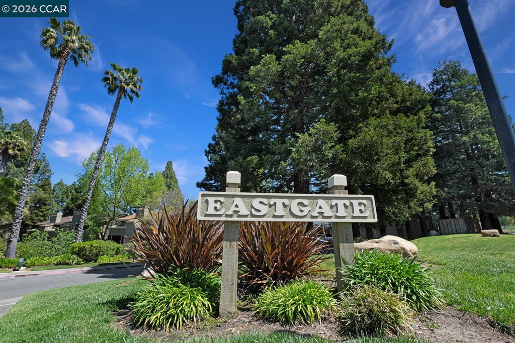 Media Image 1