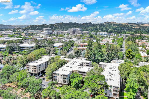 Media Image 2