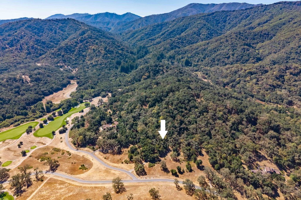 Media Image 1