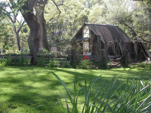 Media Image 3