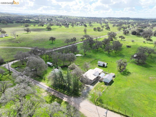 Media Image 2