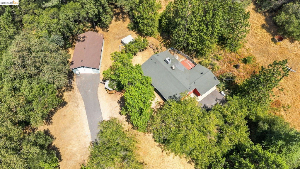 Media Image 1