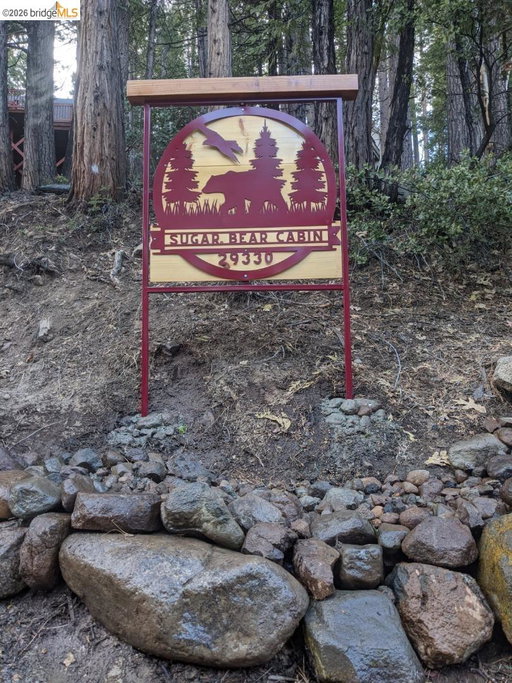 Media Image 2