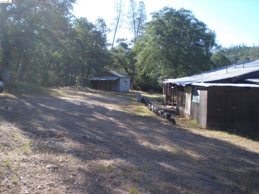 Media Image 3