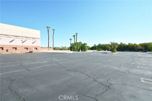 Media Image 3