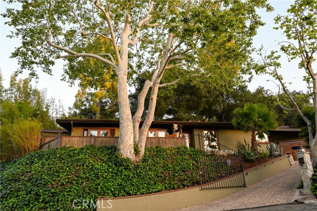 Media Image 1