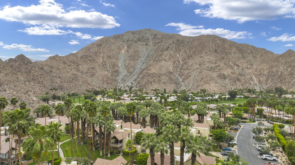 Media Image 1