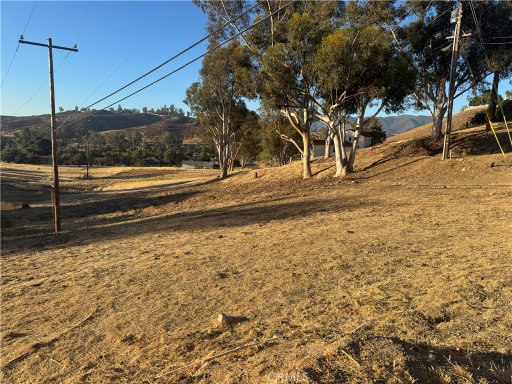 Media Image 3
