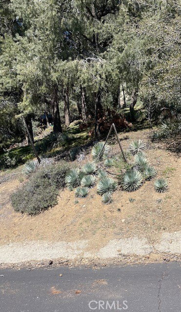 Media Image 3
