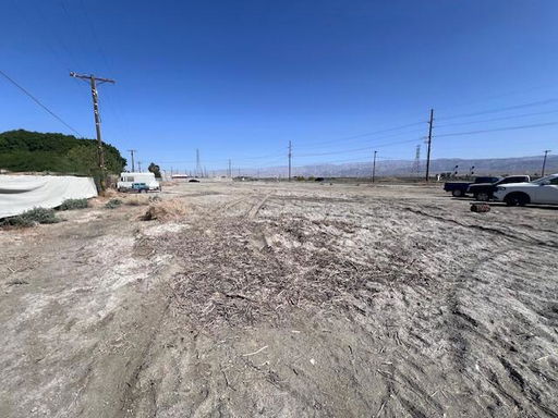 Media Image 3