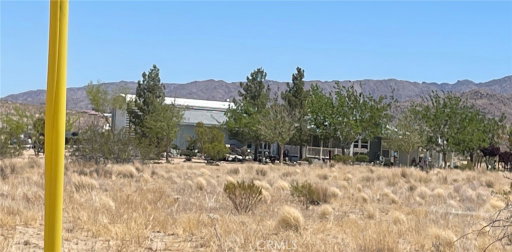 Media Image 3