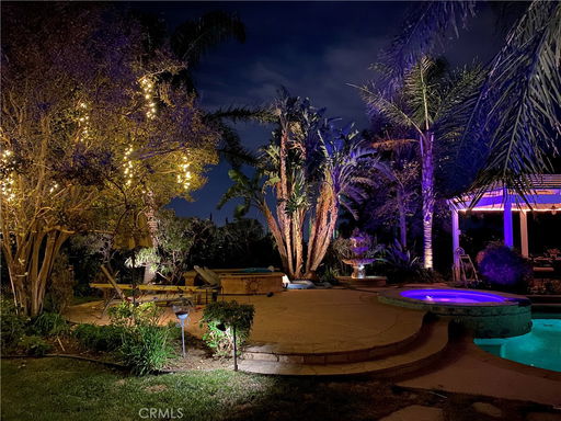 Media Image 3